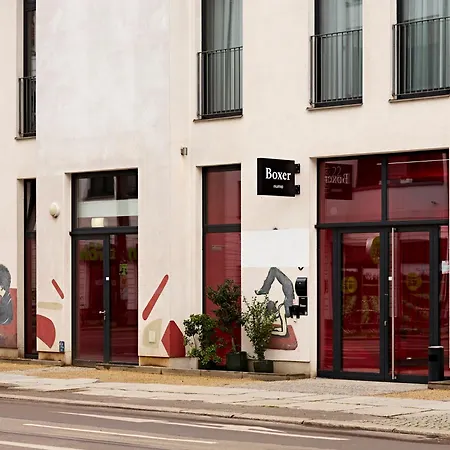 Numa Berlin Boxer-2